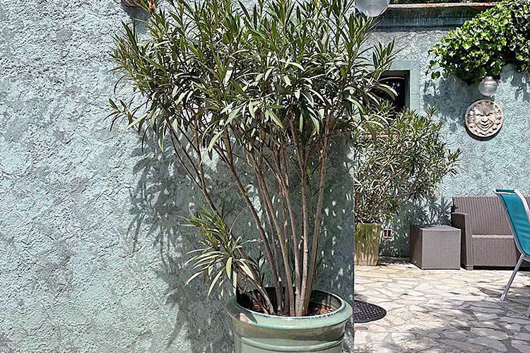 gite-var-cottage-13.jpg